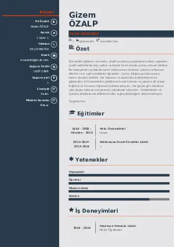Müzik Öğretmeni Cv Örnekleri cv indir